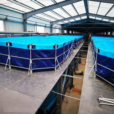 Piscine à poissons intérieure extérieure